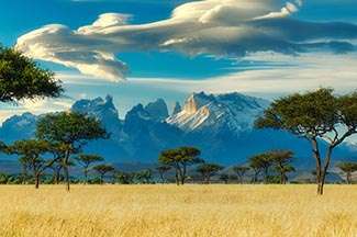 Kenya Tour Packages