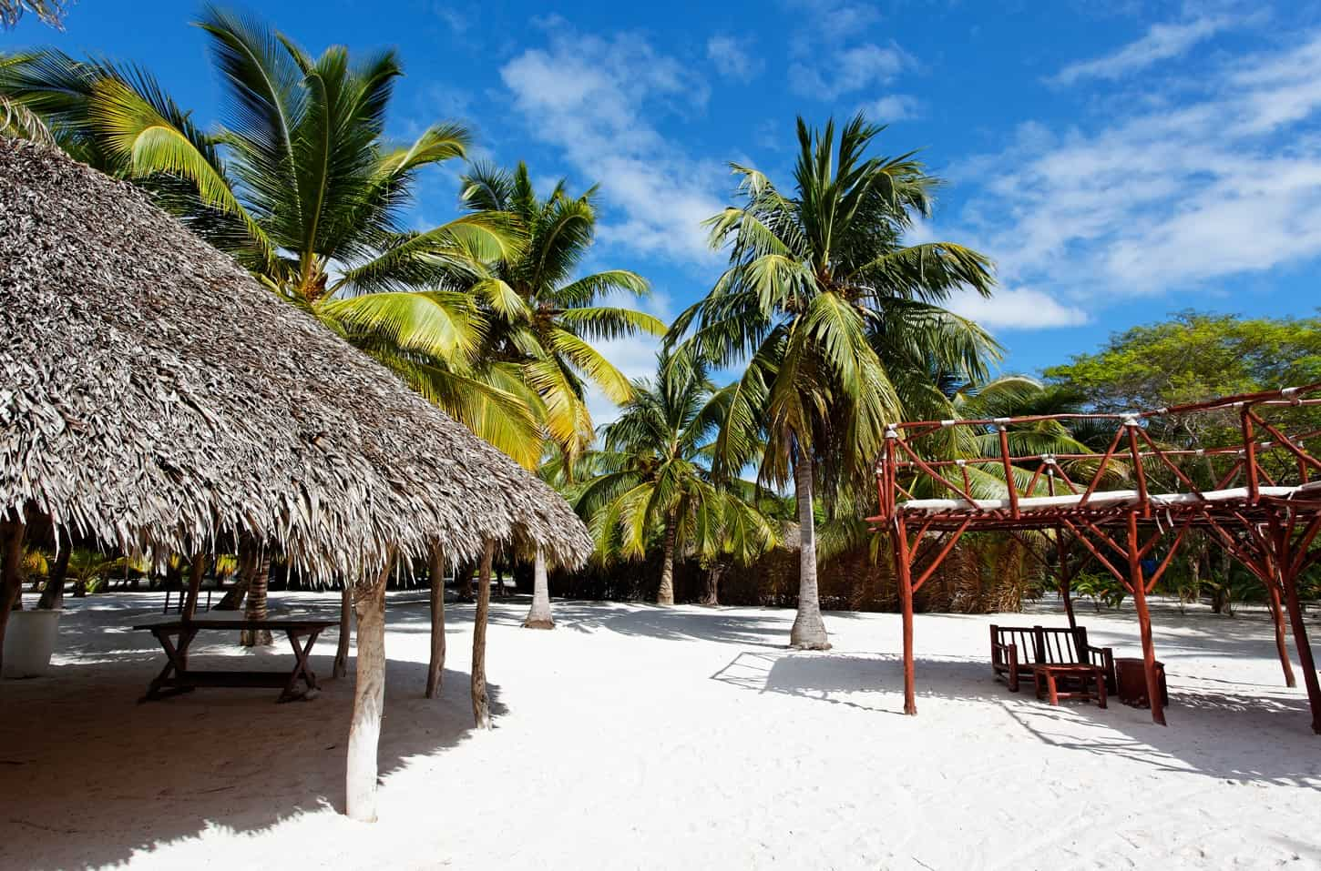 Caribbean Beach With Palm Trees And Clear Blue Water