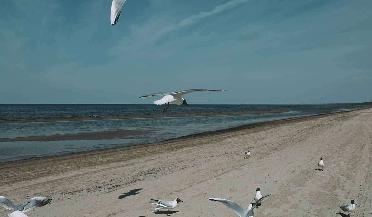 Jurmala, Best 120 Cheap Vacation Places for Couples