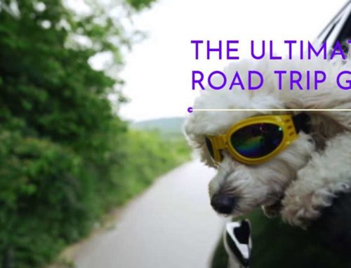 Ultimate Road Trip Tips for Your Summer Adventure