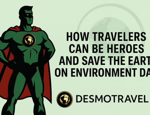 How Travelers Can Be Heroes and Save the Earth on Environment Day